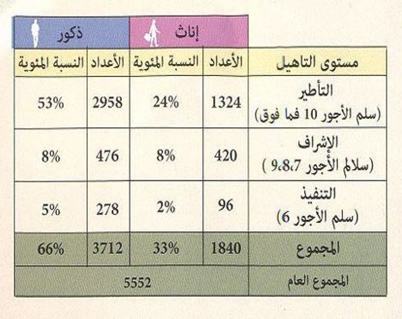 ressource humaines mhai 2017 statistiques 10