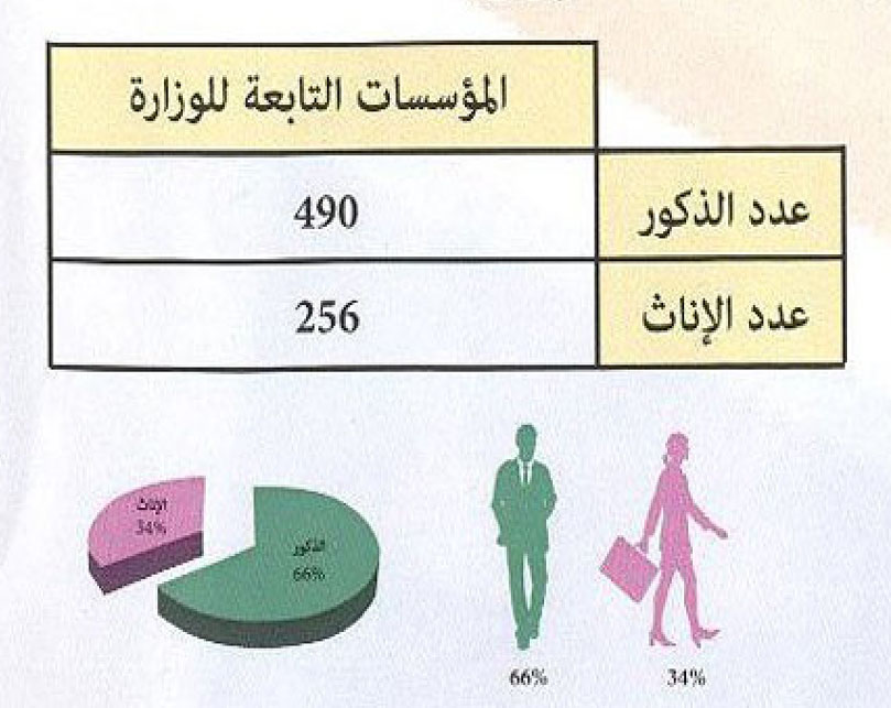 ressource humaines mhai 2017 statistiques 3