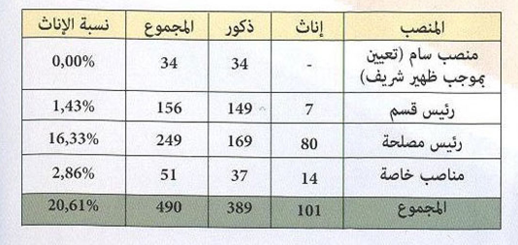 ressource humaines mhai 2017 statistiques 9