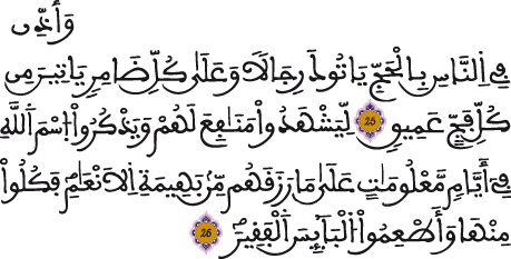 وَأَذِّن فِي النَّاسِ بِالْحَجِّ يَأْتُوكَ رِجَالًا وَعَلَىٰ كُلِّ ضَامِرٍ يَأْتِينَ مِن كُلِّ فَجٍّ عَمِيقٍ (27) لِّيَشْهَدُوا مَنَافِعَ لَهُمْ وَيَذْكُرُوا اسْمَ اللَّهِ فِي أَيَّامٍ مَّعْلُومَاتٍ عَلَىٰ مَا رَزَقَهُم مِّن بَهِيمَةِ الْأَنْعَامِ ۖ فَكُلُوا مِنْهَا وَأَطْعِمُوا الْبَائِسَ الْفَقِيرَ الحج 27-28